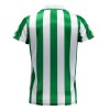 Maglia ufficiale Real Betis Special Edition 2023-24 per Uomo